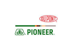 Розробка логотипу для "Pioneer"